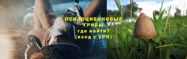 mdpv Гатчина
