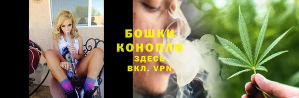 PSILOCYBIN Гвардейск