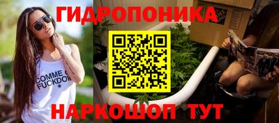 амф Славгород
