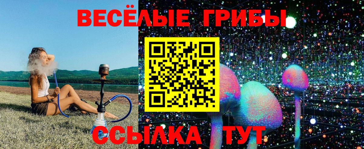 Отрадный  Псилоцибиновые грибы MAGIC MUSHROOMS  Вход с VPN 